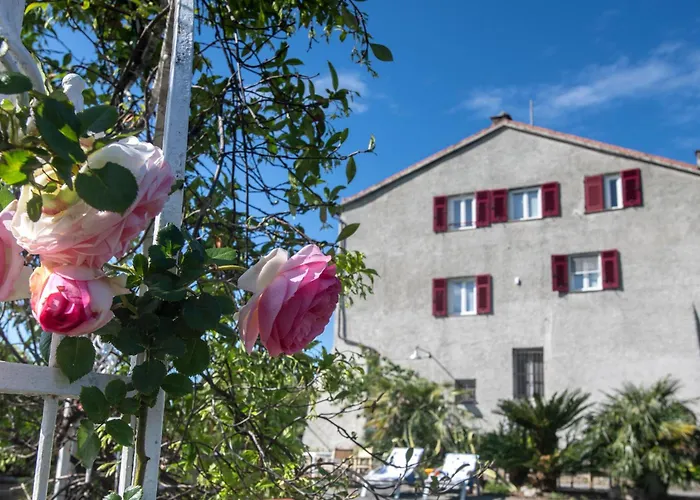 277b - Il Frantoio Della Marchesa - Giardino E Piscina Nel Di Lägenhet
